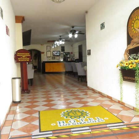 Hotel Los Girasoles Tepic Exteriör bild