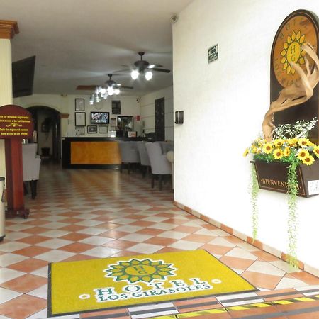 Hotel Los Girasoles Tepic Exteriör bild